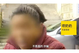武汉讨债公司成功率：揭秘债务追收的奥秘